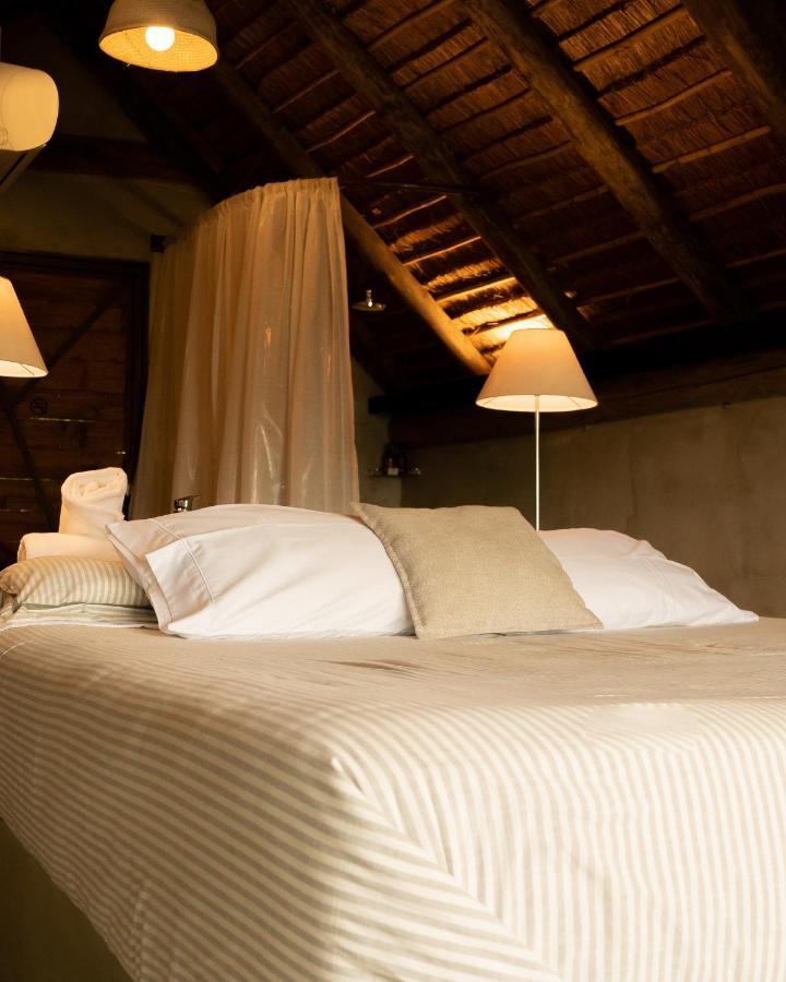 ホテル Tava Glamping Cerro サン・バーナディノ エクステリア 写真