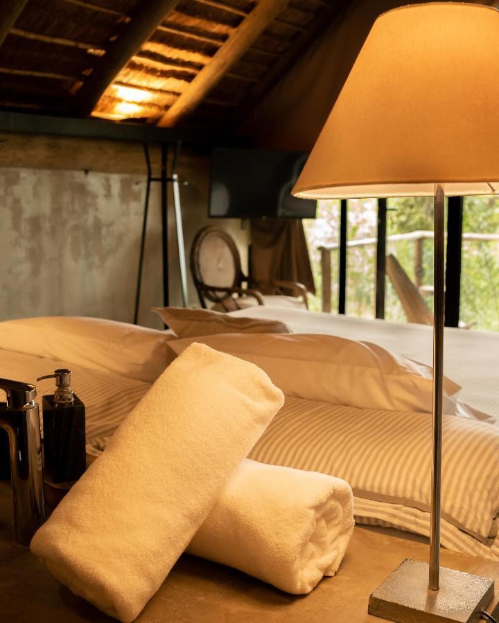 ホテル Tava Glamping Cerro サン・バーナディノ エクステリア 写真